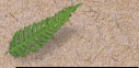events_page003005.jpg